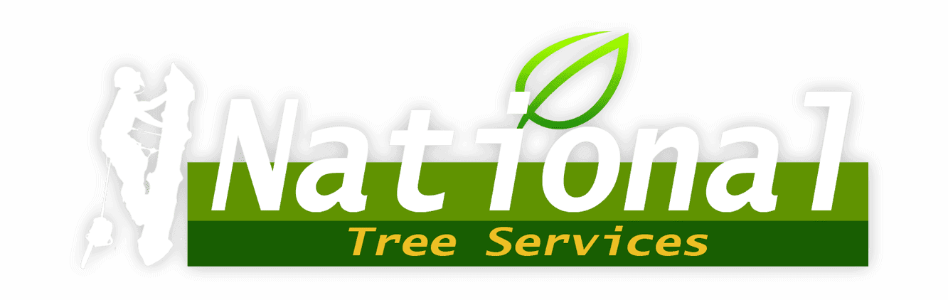 AutoHub Motors